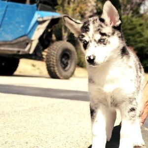 Meet your Posher, Jared